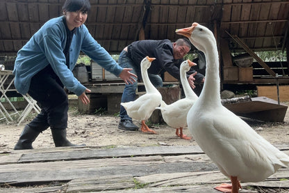 ガチョウのブロワイエ