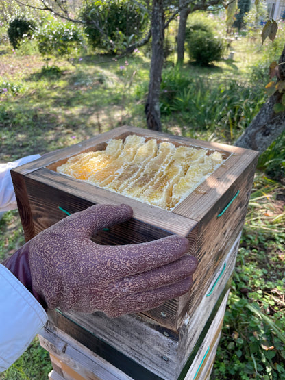 広島さとやまはちみつ